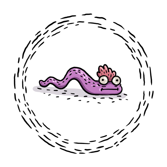 Find%20the%20worm